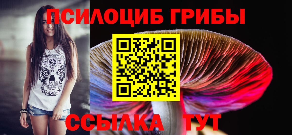 Галлюциногенные грибы MAGIC MUSHROOMS  Галлюциногенные грибы мицелий  Вход с VPN  Асино 